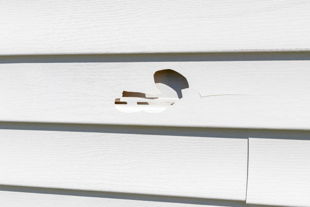 Best Siding Removal and Disposal  in Brownfield, TX