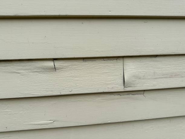 Professional Siding Installation & Repair in Brownfield, TX